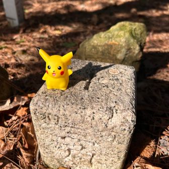 黒石に なぜかピカチュウ⚡️

マリオの次はポケモンかよ😆