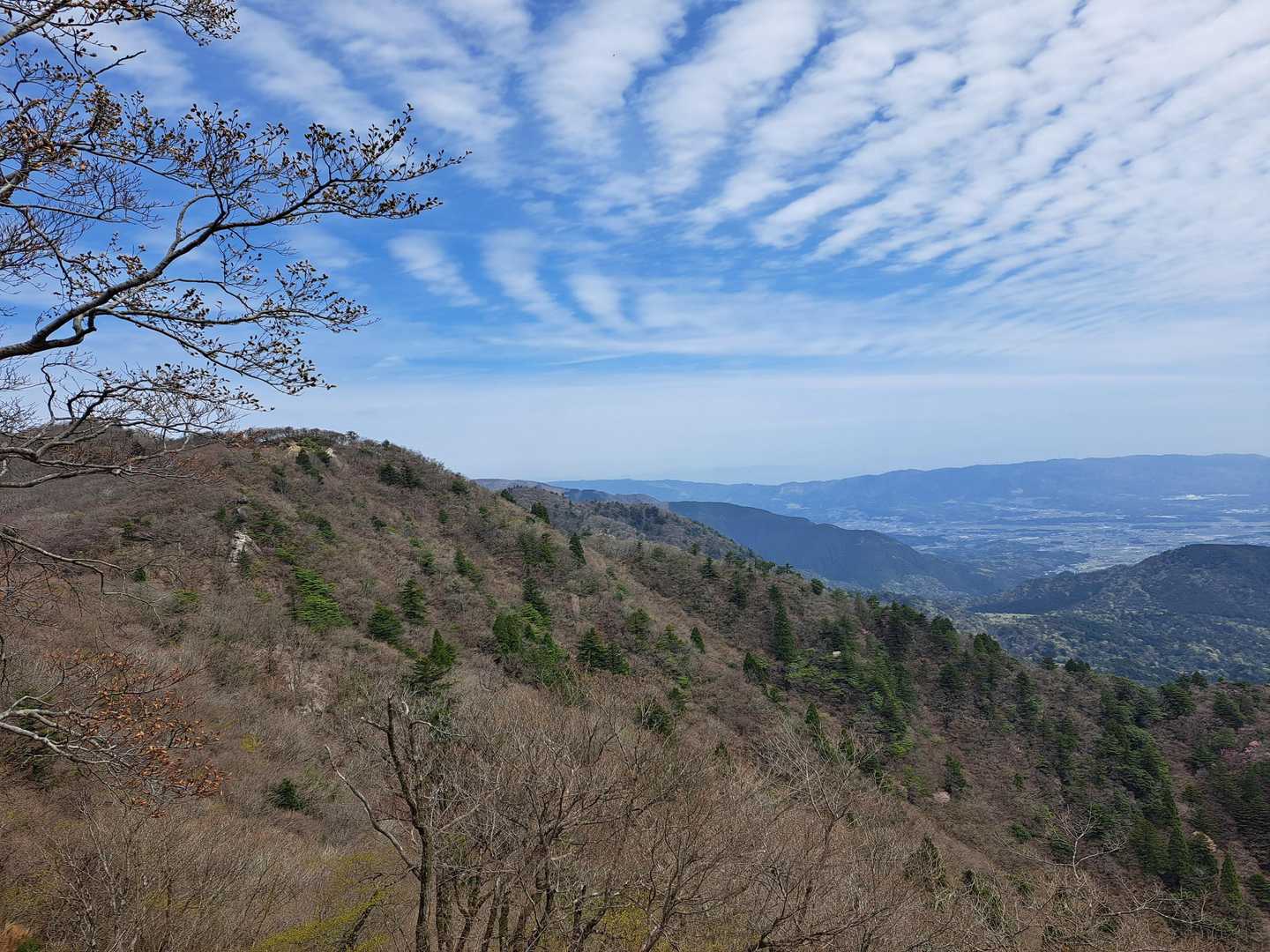 見上げると空に雲が
さざ波のように連なってた🍃
適度に風が吹いて清々しい