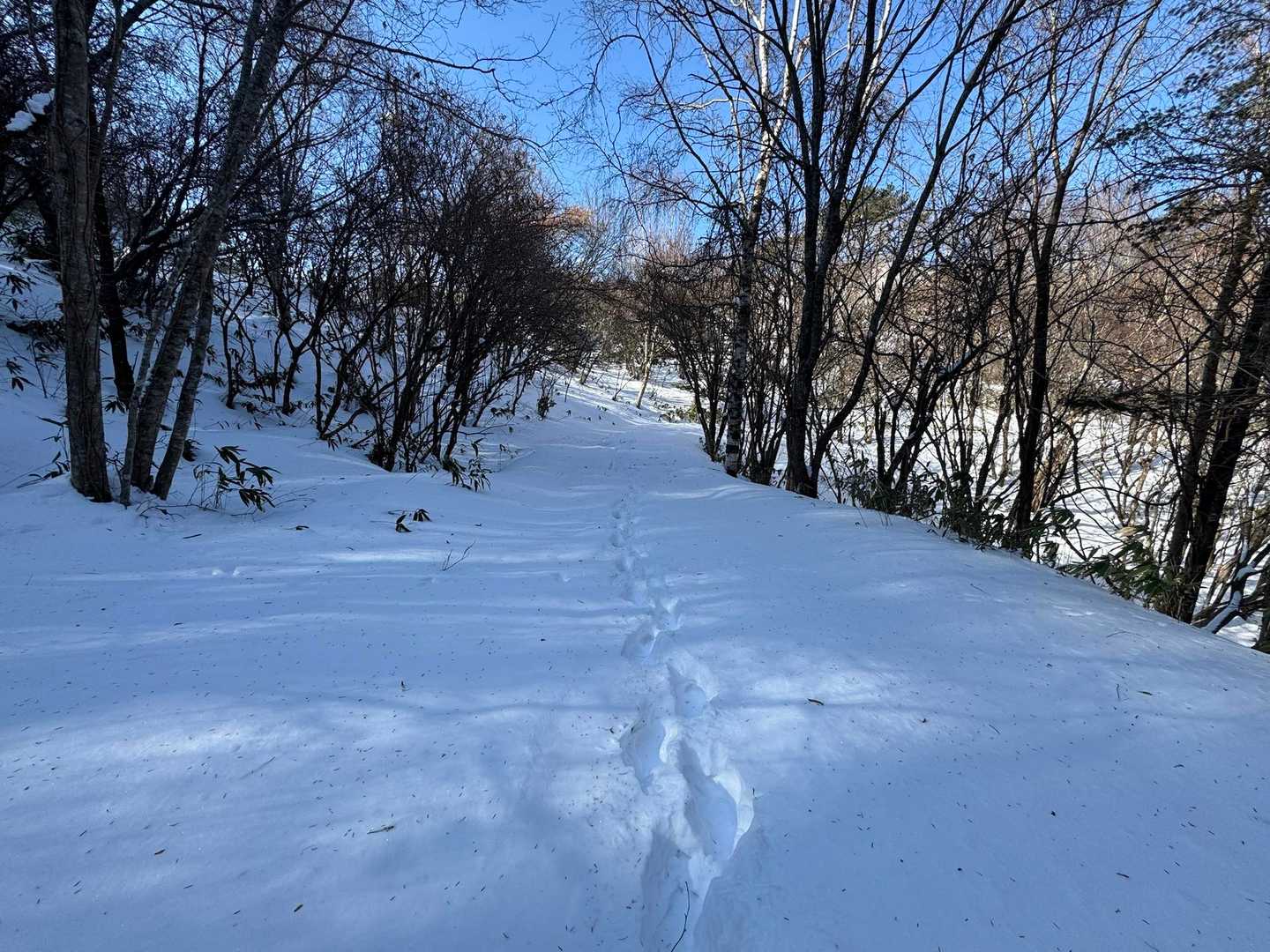 このルートはこんな感じで👣足跡少なめ😅
壺足歩行でかなり疲れました🥵