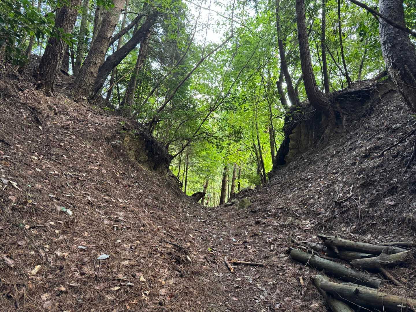 冠山-可部峠 周回コースの写真