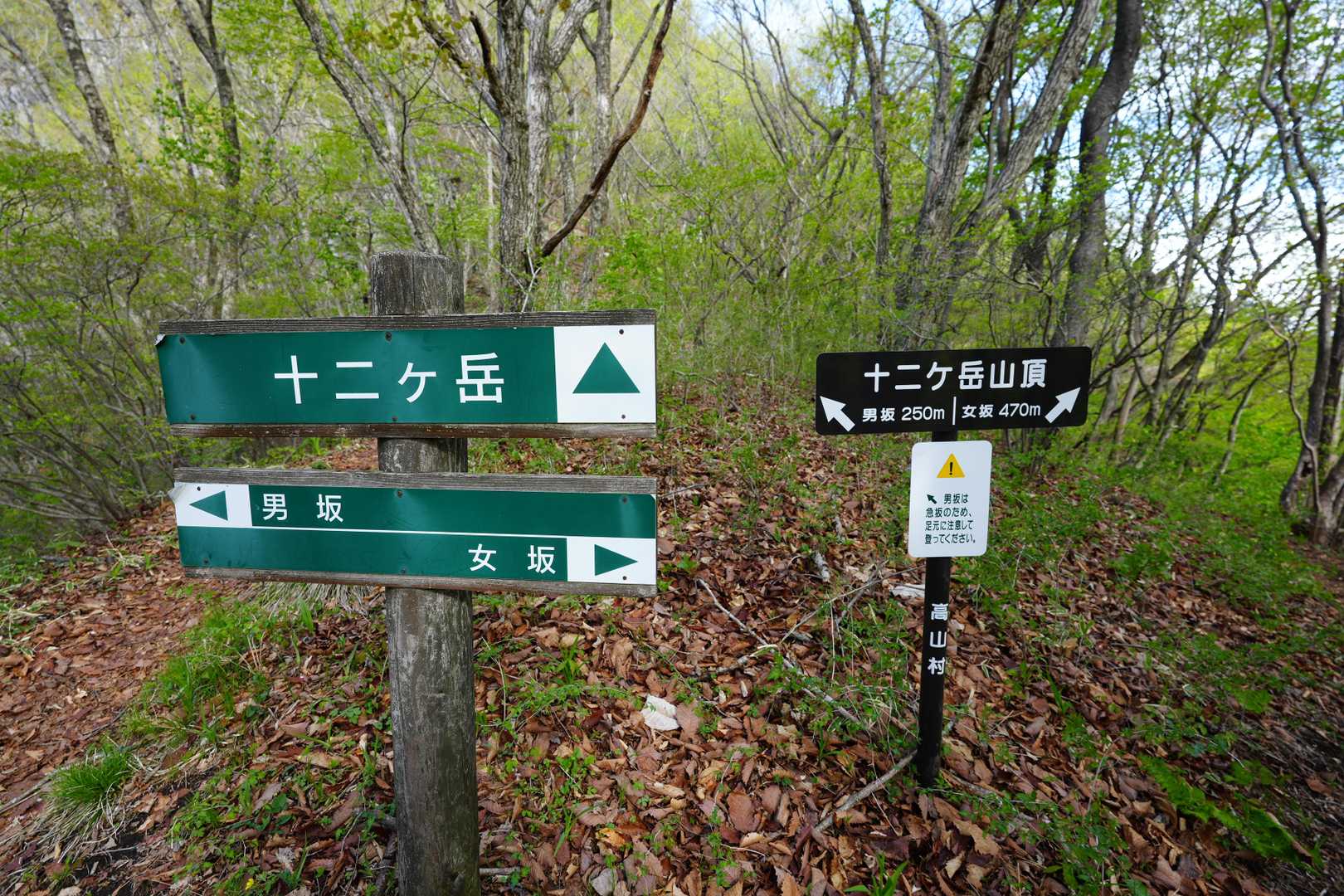 雨乞山-小野子山-中ノ岳-十二ヶ岳 往復コースの写真