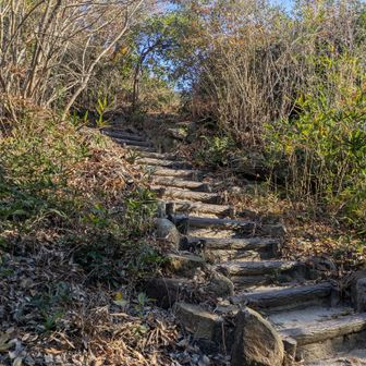 ハラホロヒラハレ～～:(っ'ヮ'c):💧‬