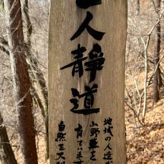 前回も写真を撮ったなぁで、ハイち–ず🧀