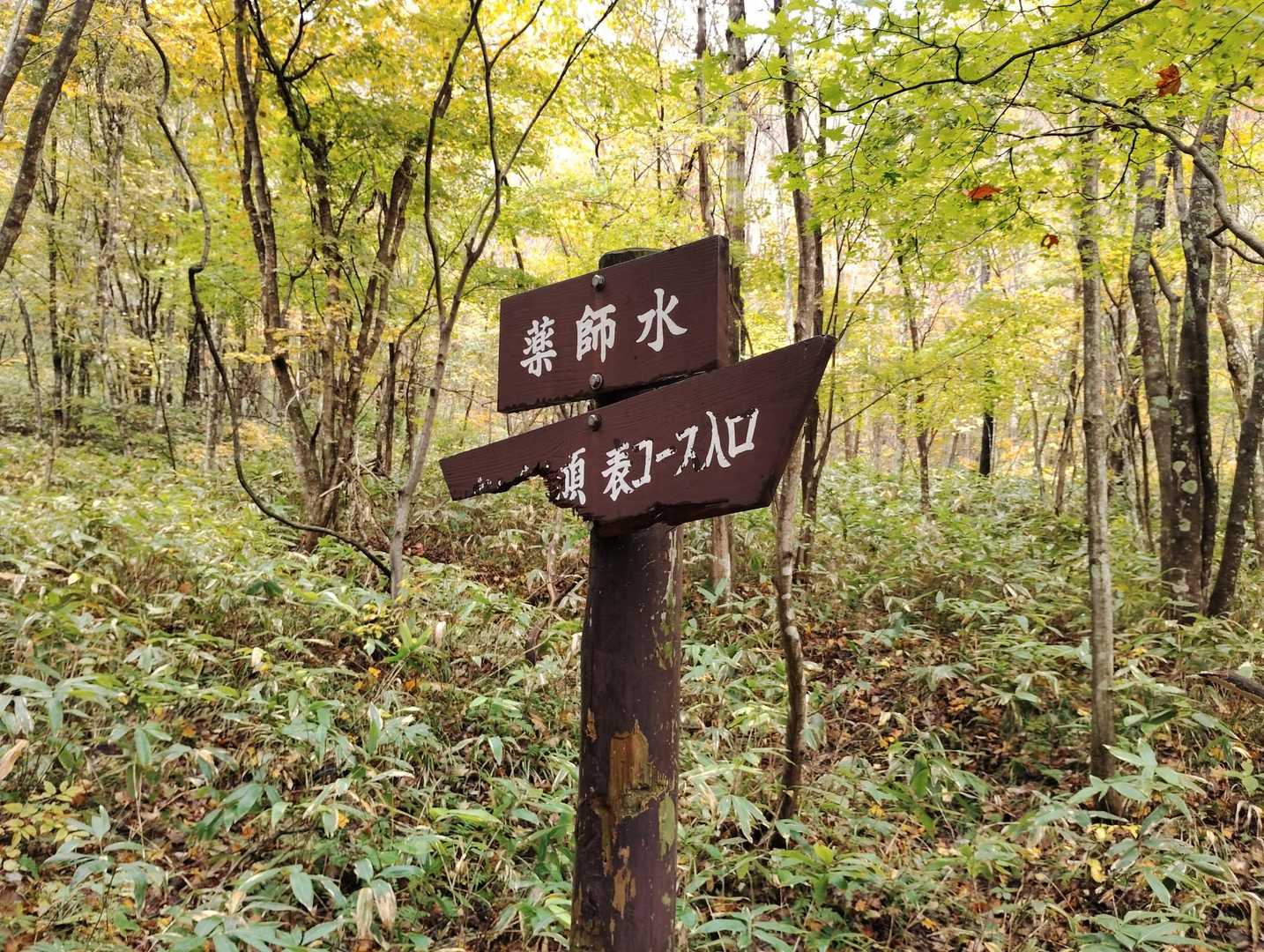 薬師水場枯れてます。
