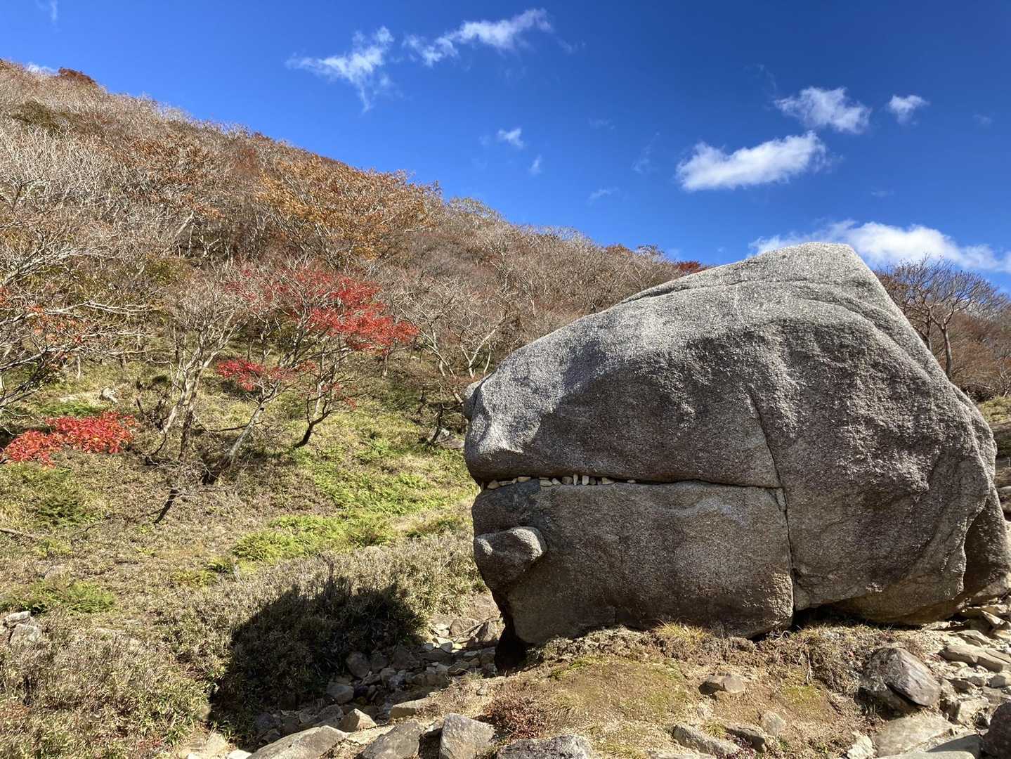 ゴジラ？なんか良く見るやつとは違う気がする。イルカ？