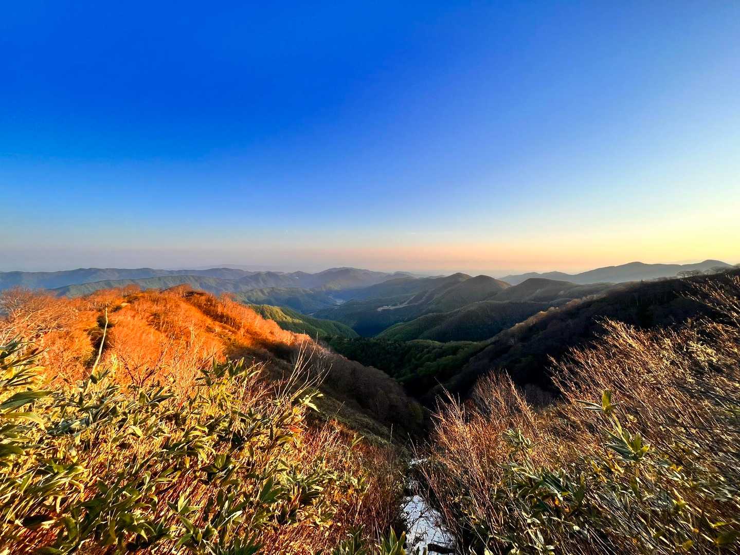 栃谷登山口-片折岳-金剛堂山 往復コースの写真