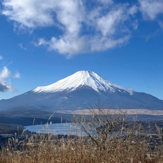 登山道を下りながらずーと富士山がよく見えます。まるで富士山に向かって歩いている感じです。とても気持ちいいです。