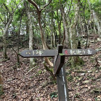 ハト峰へ