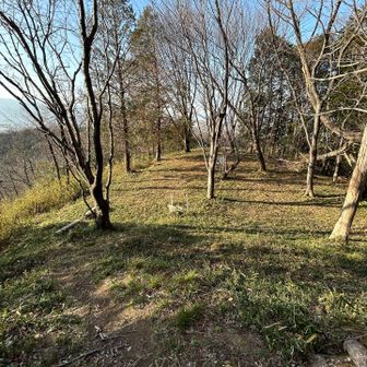 山頂部分は本丸と曲輪の遺構が残っていました👀