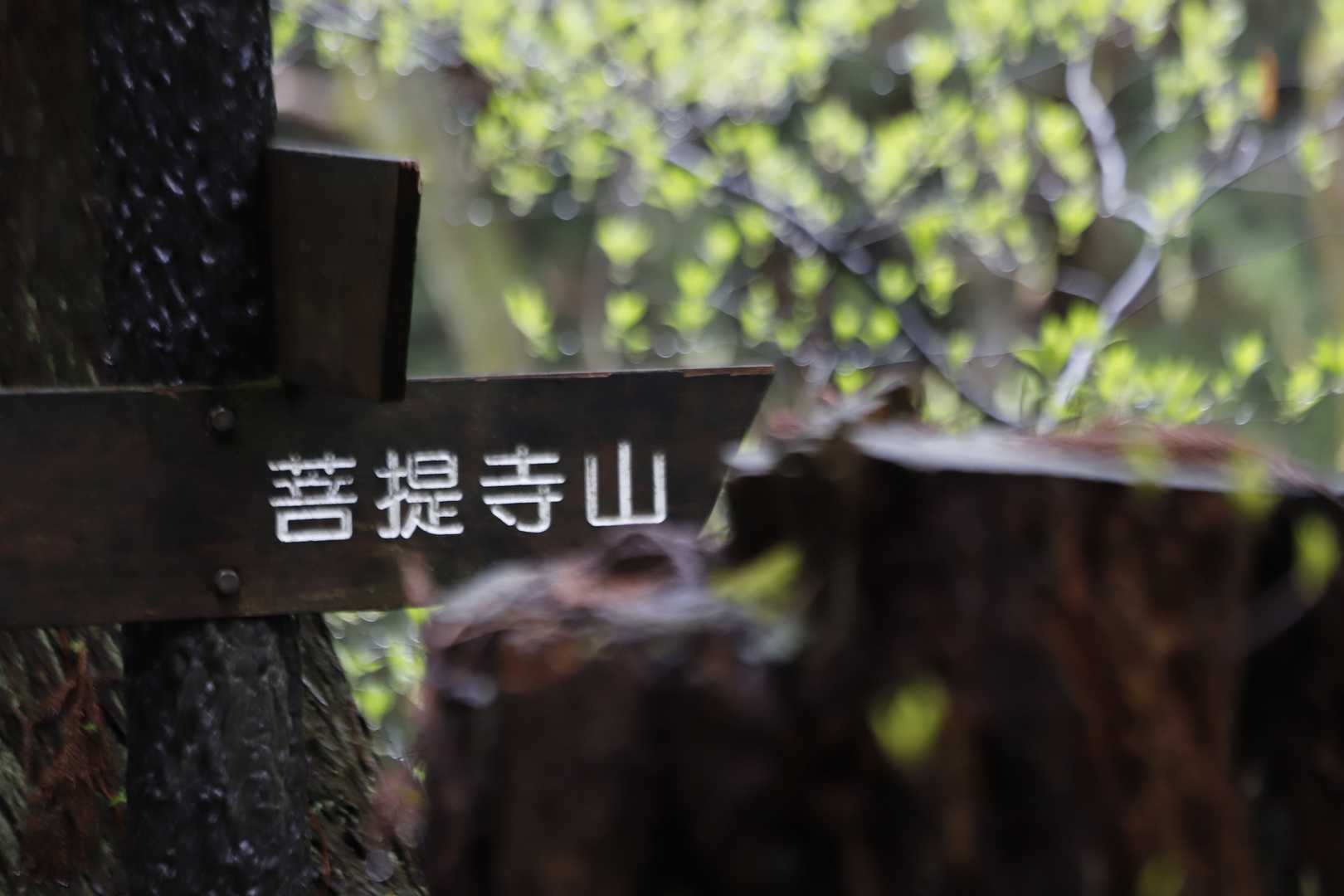 菩提寺山 周回コースの写真
