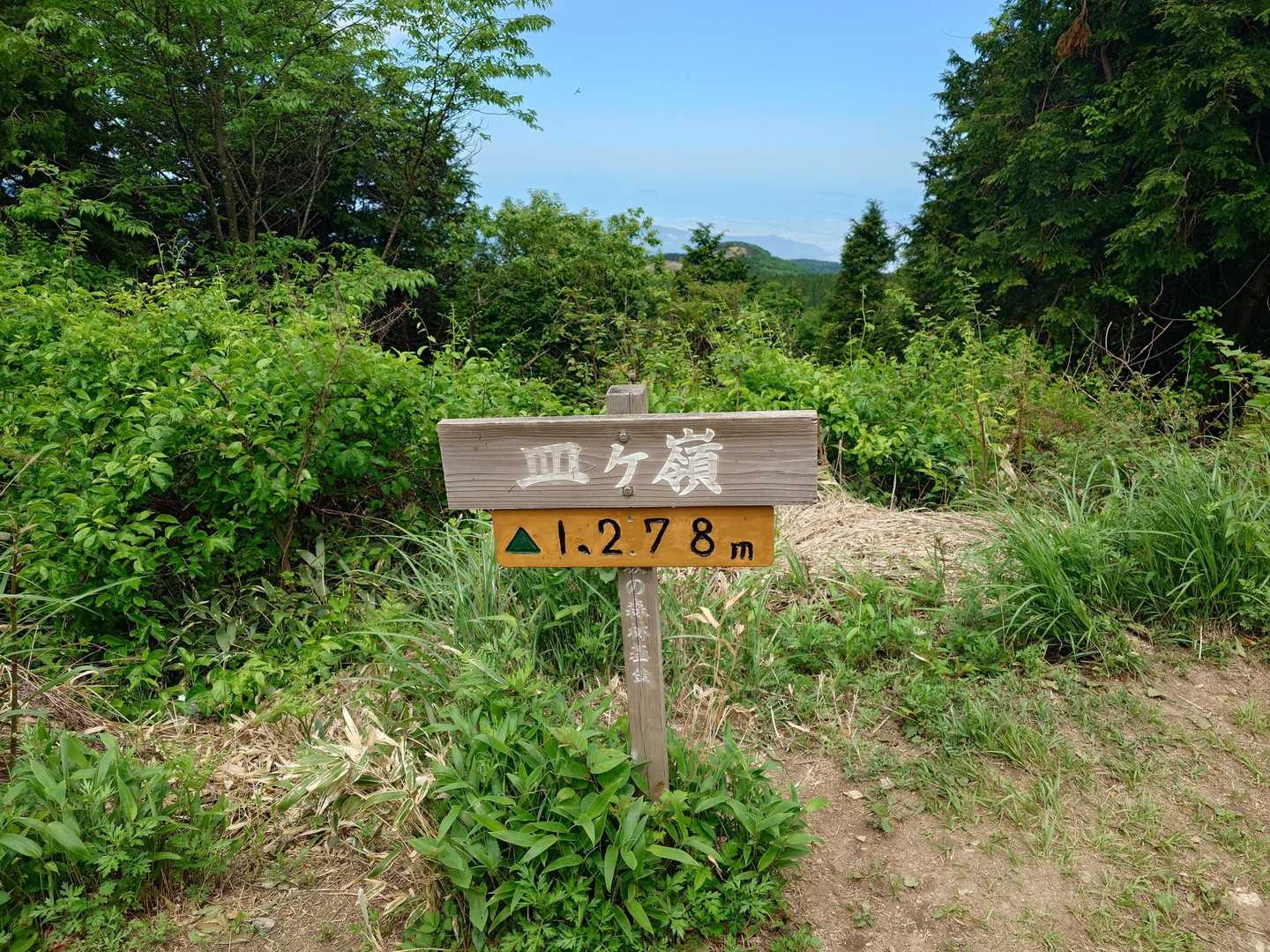 頂上、気温は23℃
ここから畑野川登山口に向かう