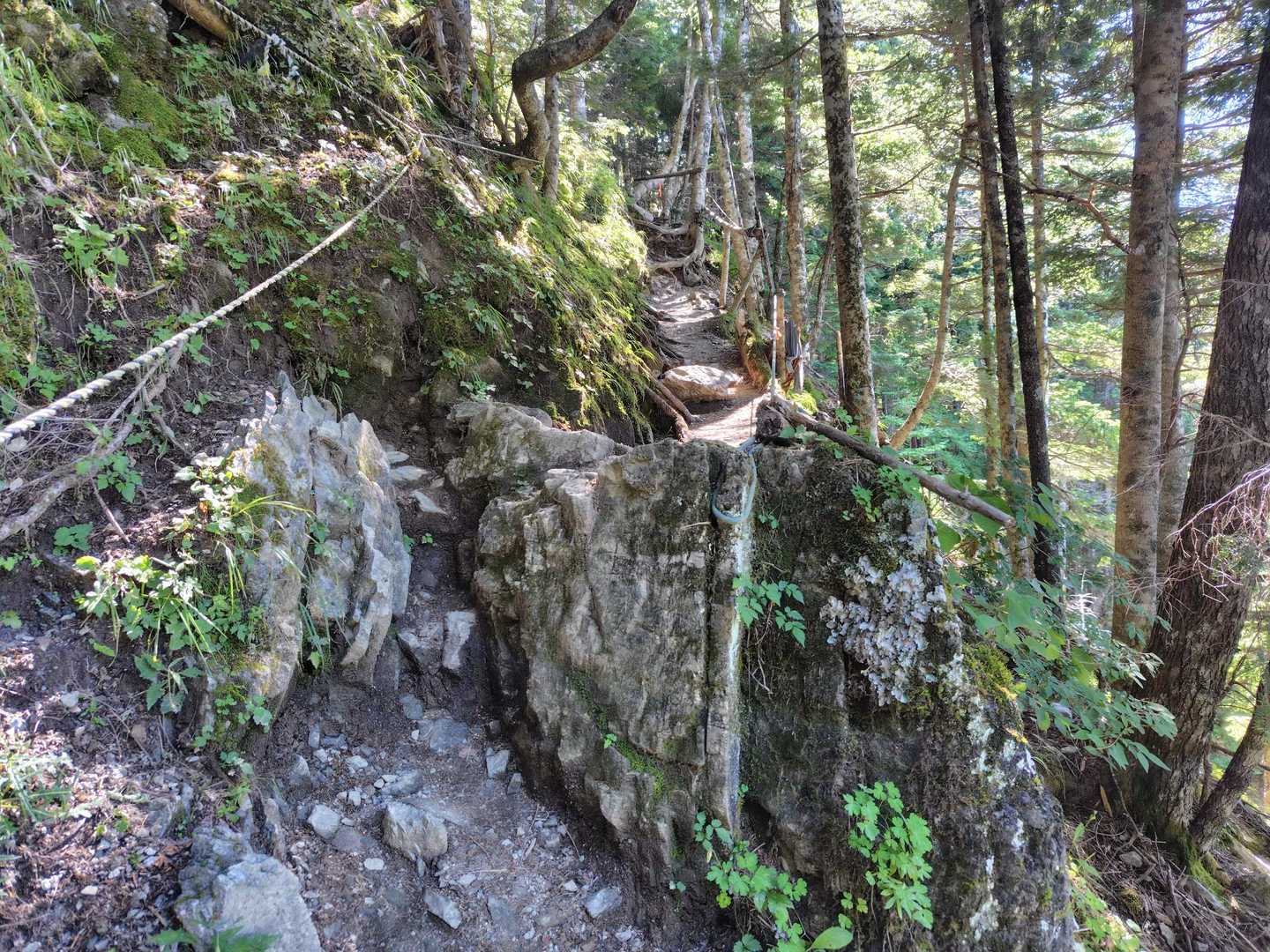 ちと景色見えたりちと険しかったりと
