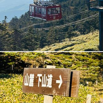 そしてこれから下山…

ゴンドラの時間には余裕で間に合ったはずなのに…

ゴンドラ🚠には乗らず😅
乗れず？
乗せてもらえず？？笑

下山道を歩いて👣