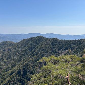 鳳来寺山の尾根