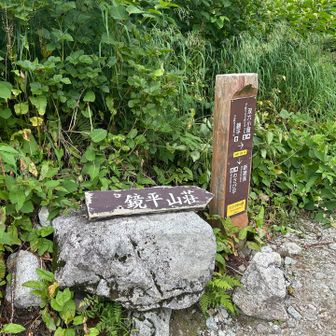 シシウドが原で、また休憩