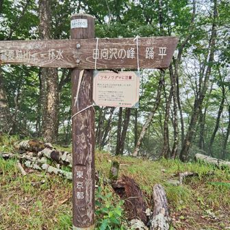 熊野注意看板も