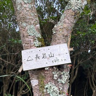 山頂です。