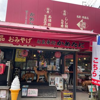 妙見口駅に帰って来ました