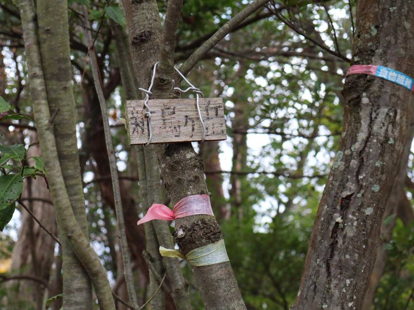 4座目