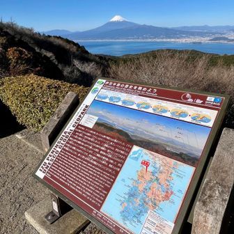 達磨山高原レストハウスからの景観