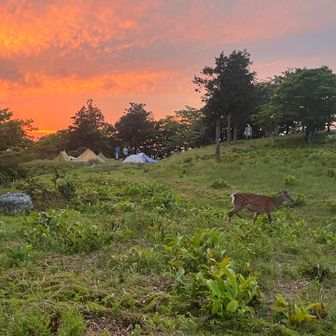 酔っ払いは居心地良過ぎて…
ビアガーデンで爆寝してました😪💤