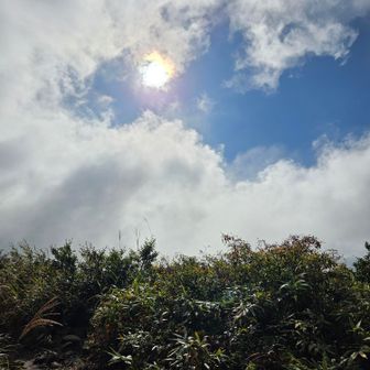 曇り空にわずかに青空が🌥️