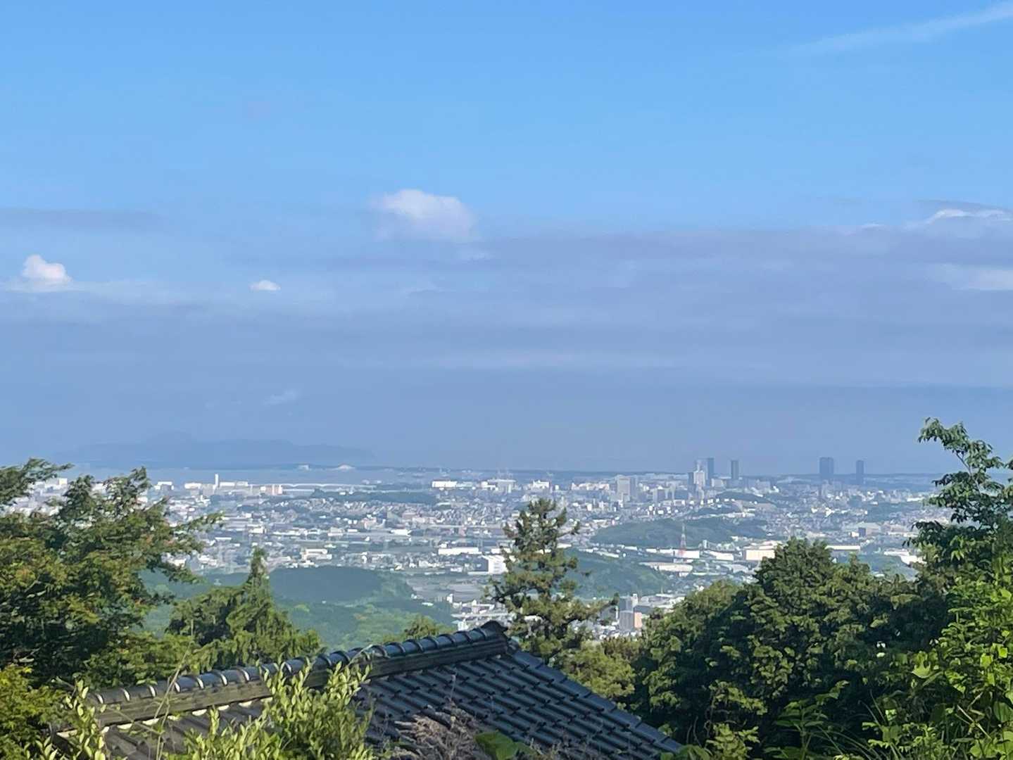 若杉山登山口 往復コースの写真