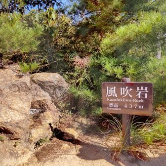 凄い人だ・・・