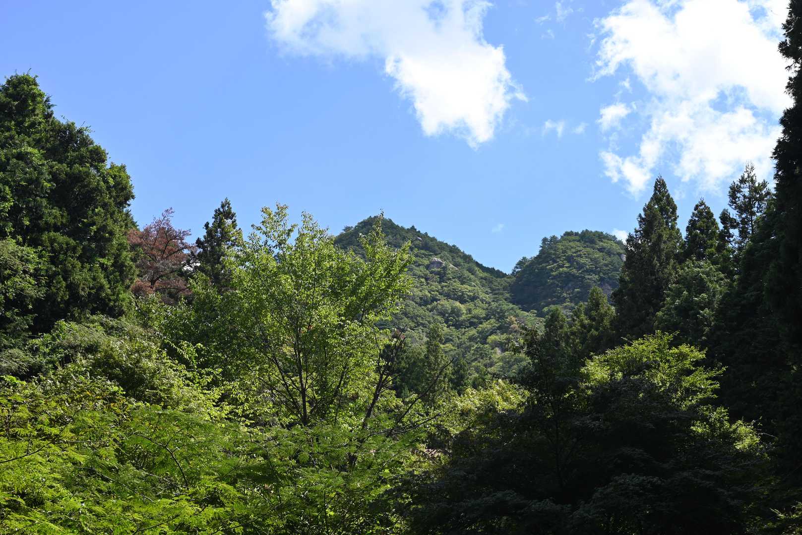 玉峰山 周回コースの写真
