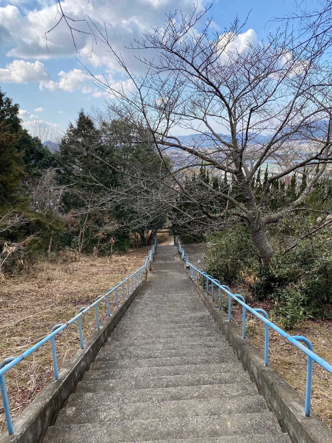 あとは階段を降りて、最寄駅までウイニングランではなく、ウイニングウォークです😅ちと疲れました🥵