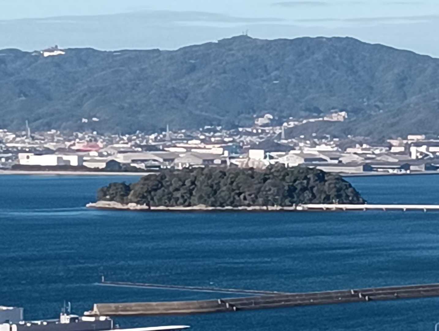竹島👍