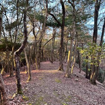 写真を撮ってると1人取り残されてました🤣じゃ近道で帰りますよー