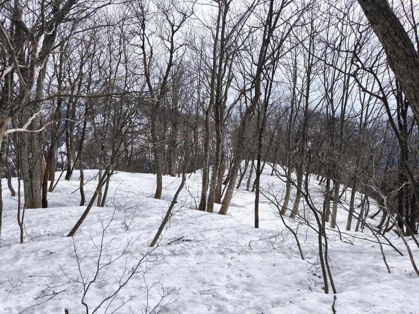なんとか安全地帯までこれたか？でも急降下だ。