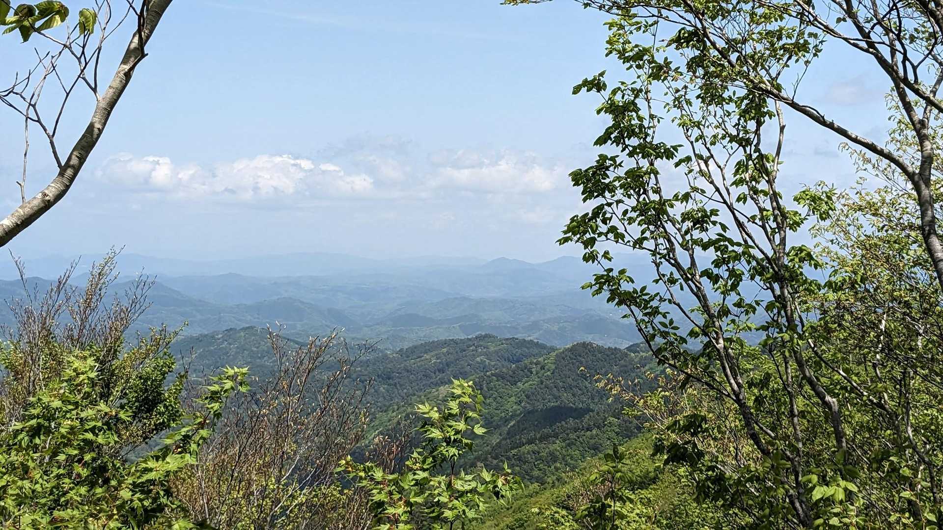 滝見コース入口-大万木山-大万木山権現-権現コース入口-横 周回コースの写真