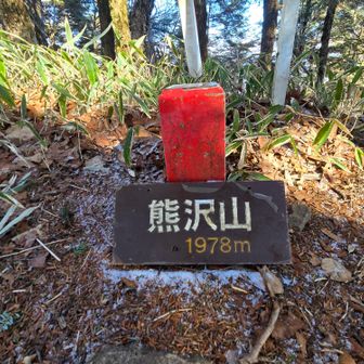 ピーク分かりずら。今日も🐻会わずよかった。