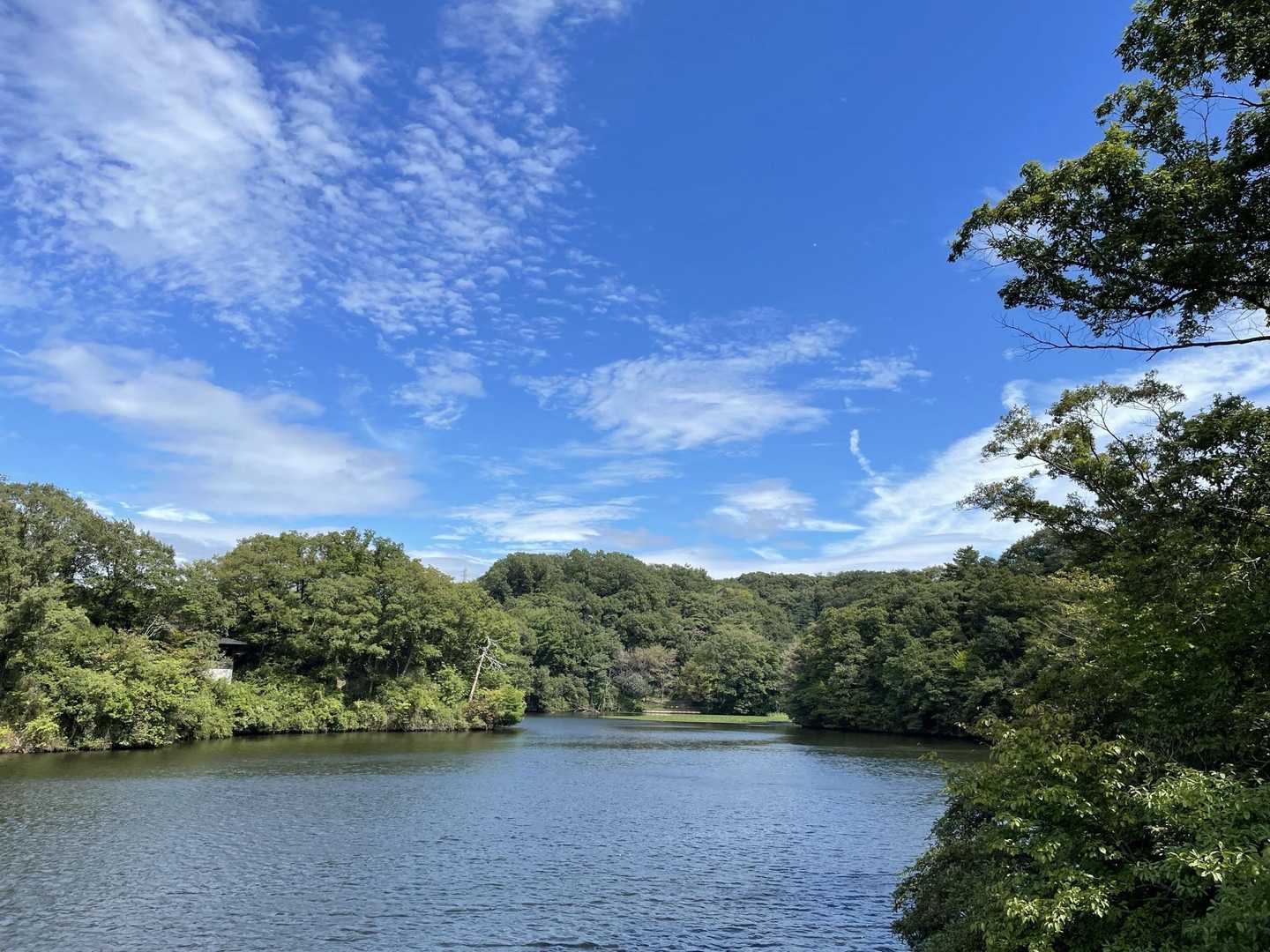 気持ちいいです🙌