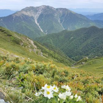 北岳草❀を探しにキタダケ(⁠ ⁠ꈍ⁠ᴗ⁠ꈍ⁠) 2024-6-22 / まき∞の登山