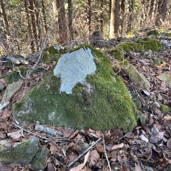 なんかちょっと富士山に見えた石