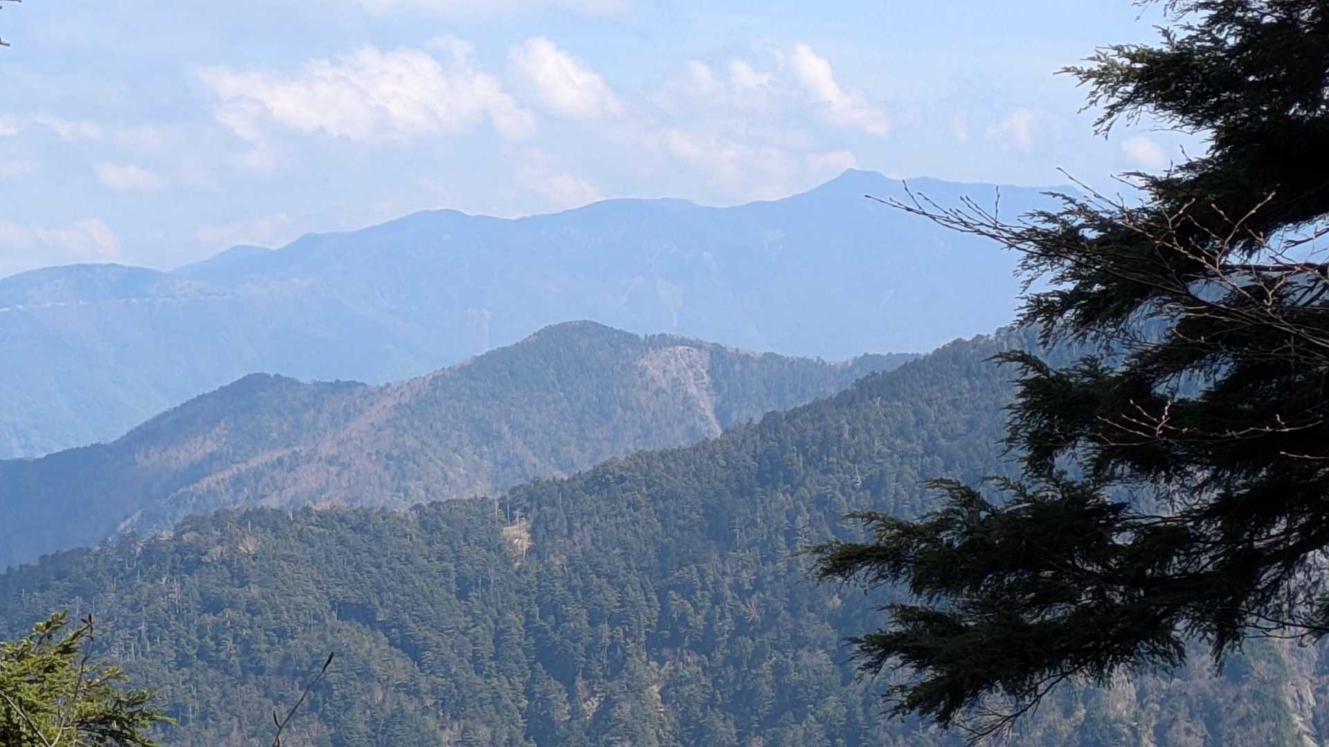 先週登った「池口岳」行く途中のどっかのナギと奥に「奥茶臼山～焼山」が見える～