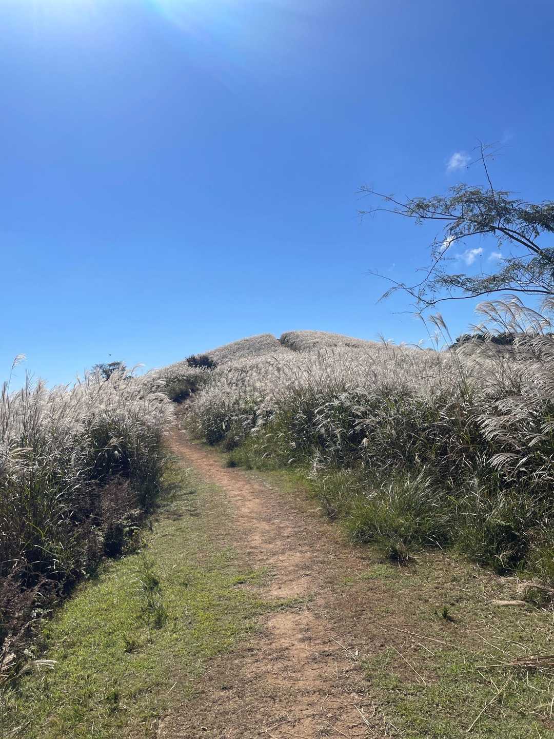 るり渓深山ハイキングコース入口-深山 周回コースの写真