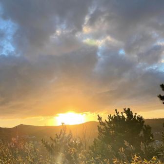 なんかすごい✨✨✨