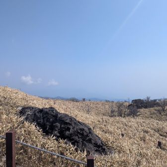 うっすら湘南ビーチ