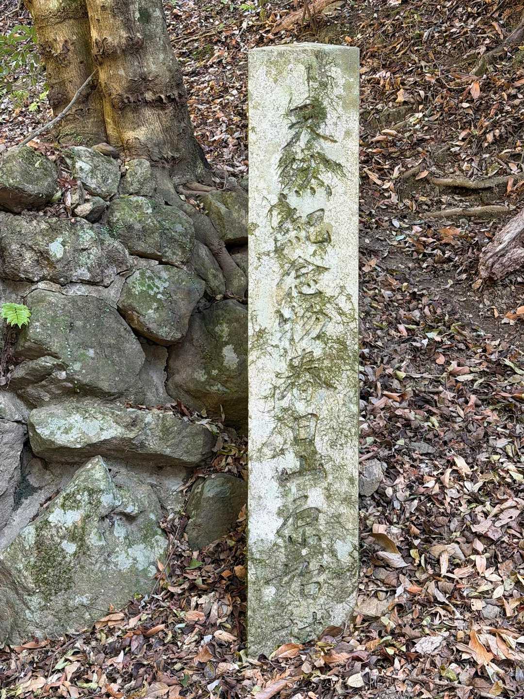 天然記念物春日山原始林