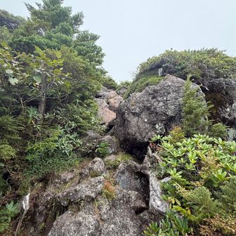 登り降りが全身運動