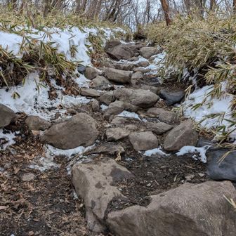 足下の岩や土が見えている場所も割と多かったです。