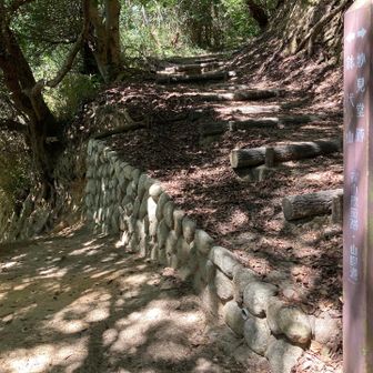 さらに下って本来歩くはずだった背山散策路（山腹道）への分岐に到着🫡

まだ余裕あるし行こうかな！とも思いましたが

👦👧👦『余裕なくなってることに気づかず大丈夫だと思い込むのが老化の第一歩なんやで‼️』

と子供達に念を押されたことをふと思い出す🤔

今日のところはやめとくか・・・