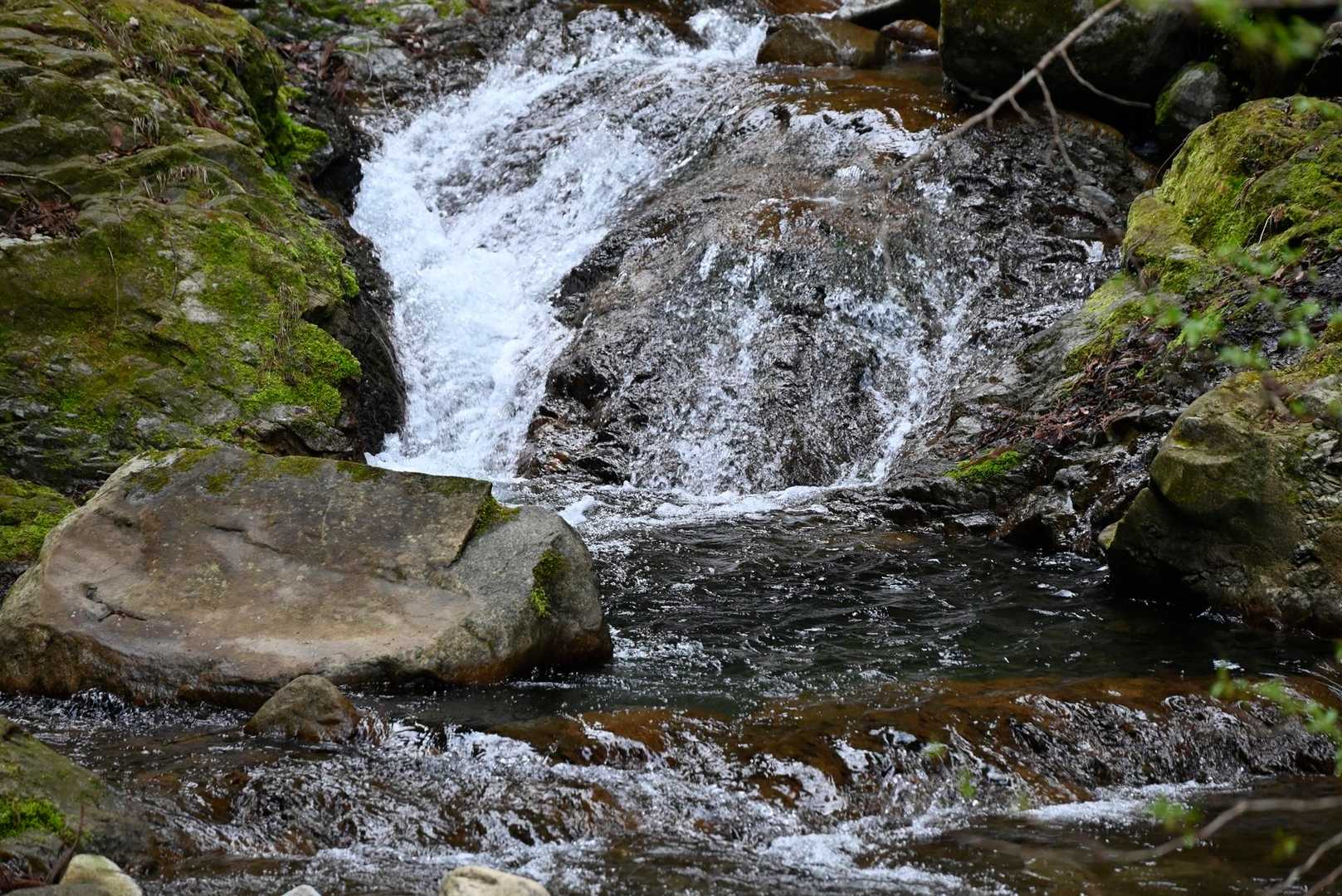土山峠バス停-辺室山-物見峠-三峰山 縦走コースの写真