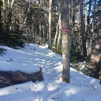 辻山をトラバース気味に