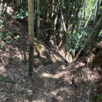 え？かなり登る