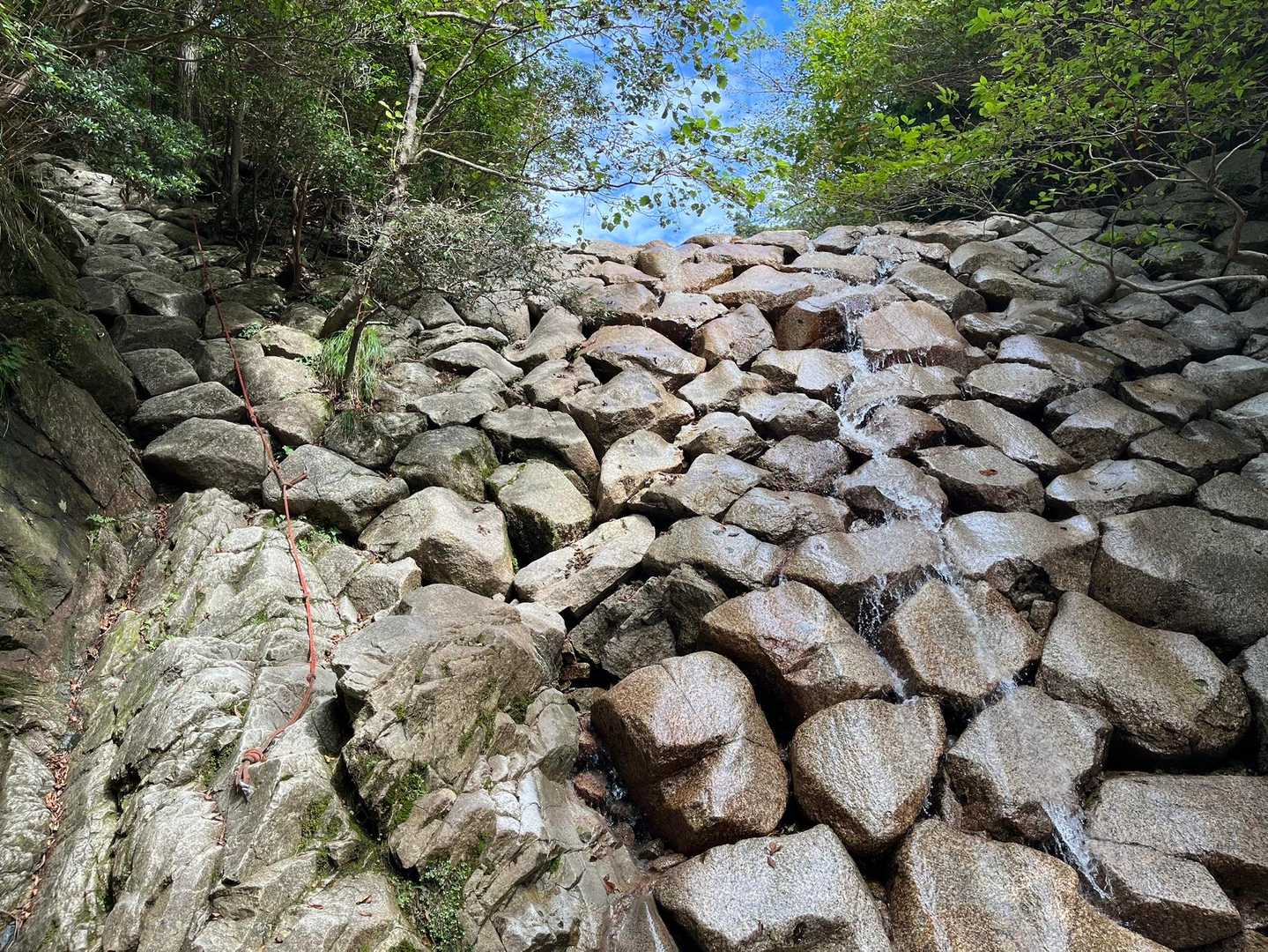 今日は水少なめ